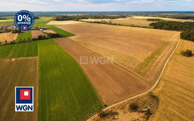 Grunt budowlany jednorodzinny na  sprzedaż Rudgerzowice - Działki budowlane z WZ Rudgerzowice,gmina Świebodzin,woj.lubuskie